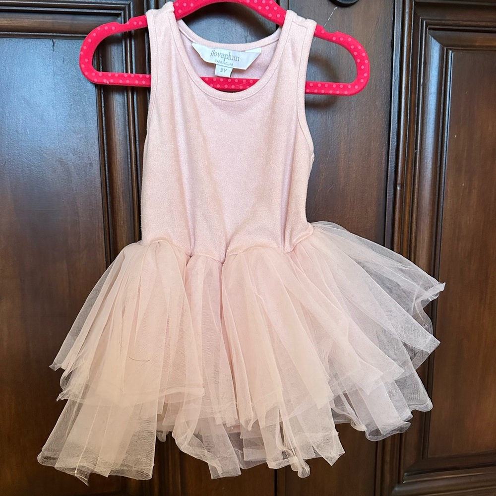 Iloveplum tutu leotard dress